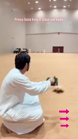 Prince fazza king 👑 of Dubai and eagle 🦅 🦅  🦅 #thankyou #milestone #billionlikes #fyp 