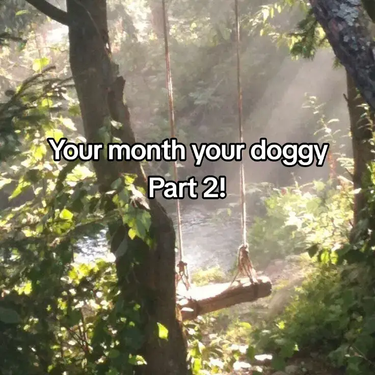 #doggy #yourmonth #yourmonthyourthing #fypシ #puppy 