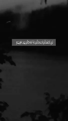 #viralvideos #100kviews✔️ #fyp 