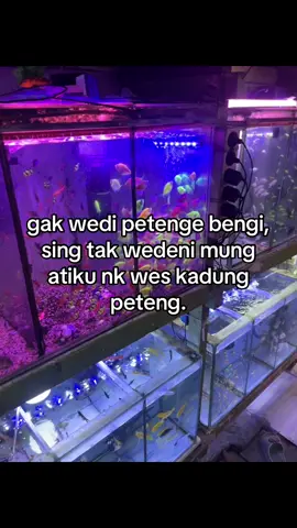 🗿🗿🗿#fyppppppppppppppppppppppp #foryoupage #beranda #xyzbcafypシ 