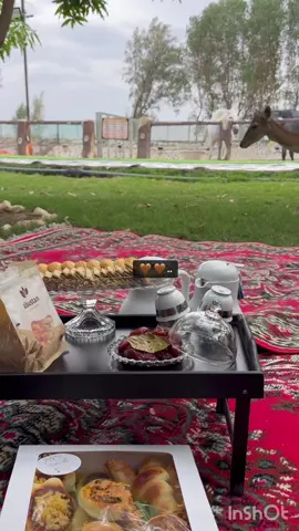 #بيشه #الغزال 