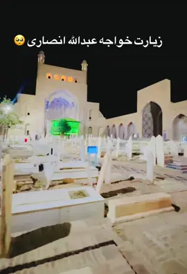 #زنده_باد_افغانستان_متحد_با_تمام_اقوام #everyone #foryou #fyp #هراتی_تیک_تاک❤️❤️ 