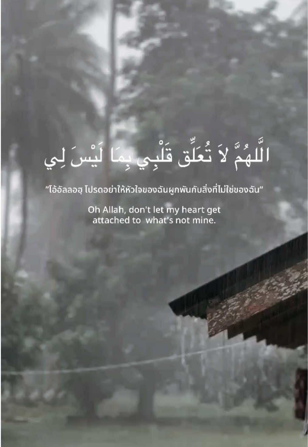 โอ้อัลลอฮฺ โปรดอย่าให้หัวใจของบ่าวผูกมัดกับอะไรที่ไม่ได้กำหนดมาเพื่อบ่าวด้วยเถิด  #เธรดอิสลาม #tawakal #islam 