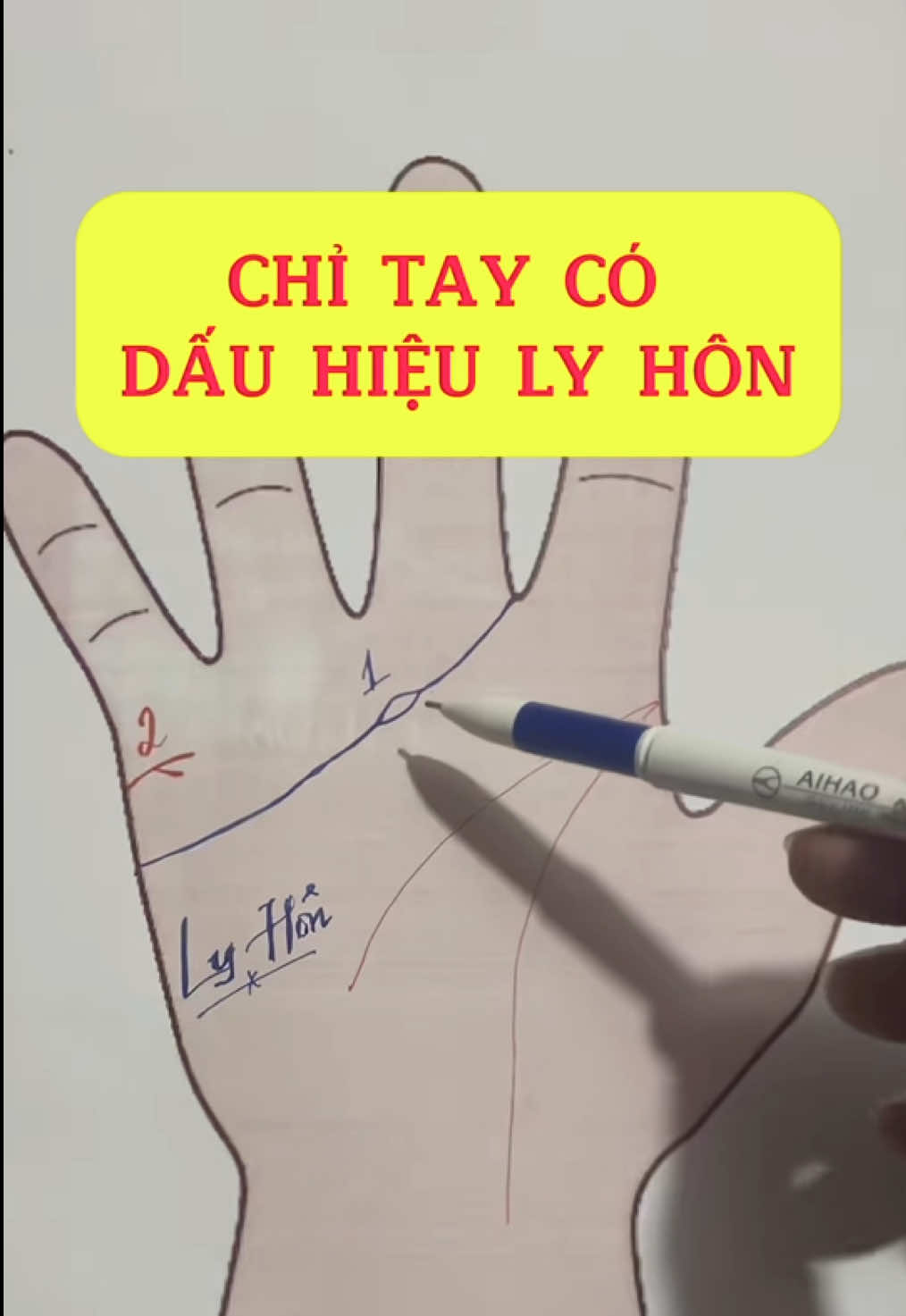 🔎✋ XEM CHỈ TAY BIẾT NGAY CUỘC ĐỜI. #xemchitay #tuvi #tuvituongso #vairal #xuhuong 