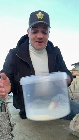 #lucadellarossa #🤣🤣🤣 @🍔🍔pub amicii🍔🍔🌽🌽🌽🍋 