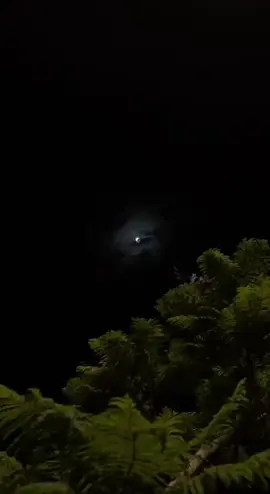 #قران_كريم #راحة_نفسية  #عبدالرحمن_مسعد 