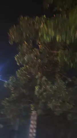 #😔😔😔 #video #vairal #bdtiktokofficial #bangladesh🇧🇩 