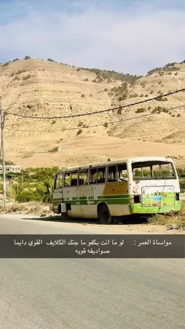 حموده #الحباشنه🦅📿 #الكرك #راكين💚 #الشعب_الصيني_ماله_حل😂😂🙋🏻‍♂️ 