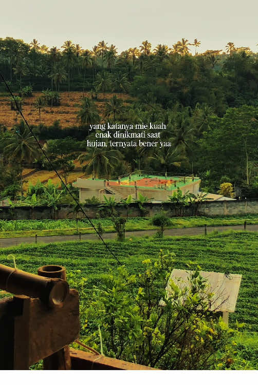 All-in cuma 39K! 🍜🌦️ #CafePilihanKayis hari ini sederhana: pemandangan sawah, rintik hujan, dan semangkuk mie kuah hangat. 📍 Oemah Sawah, Jabung – Malang. Spill menu murce: • Somay Kuah — 6K • Mie Kuah — 7K • Piscok — 5K • Tahu Ayam Pedas — 5K • Joshua — 8K • Ocean Blue — 8K #cafehitsmalang #kulinermalang #malangmurah #cafebatumalang 