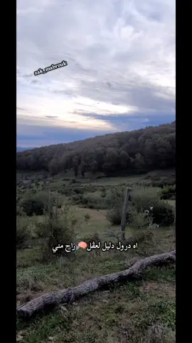 #tunisa_tiktòk #fyp #طبيعة #الشعب_الصيني_ماله_حل😂😂 #explore 