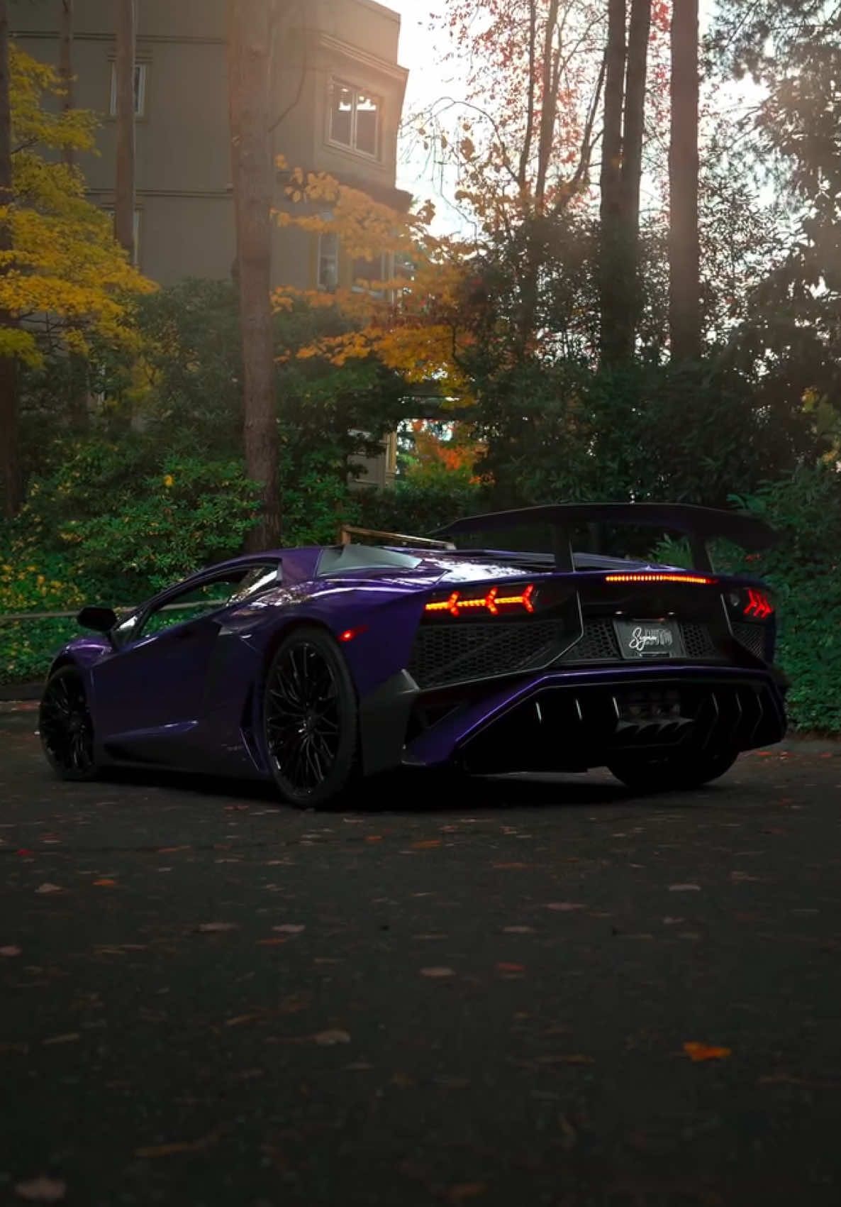 Purple Demon 😈 • • • Lamborghini Aventador SV (IG 📸 @sigmaautomotive_) #luxuryspeed #lamborghini #aventador #sv 