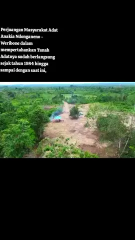 #fyp #sukutolaki  #sulawesitenggara #konaweselatan #lembagaadattolaki #presidenprabowo #kementrianatrbpn #tentaraindonesia #tamalaki 