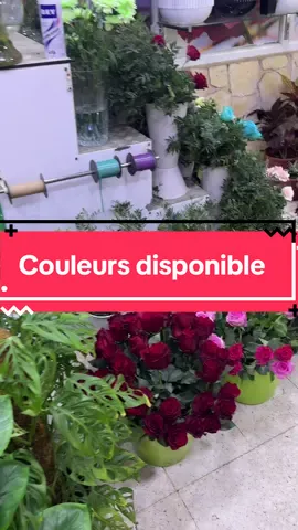 On est ouvert jusqu’à 00:30 h  Importation disponible 🌹#dzpower #benaknoun #الشعب_الصيني_ماله_حل😂😂 #fyp #fleuriste 