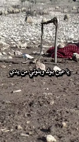 #تصوري_احترافي_الاجواء👌🏻🕊😴 يا عين بوك وبلوتي من يدي #كيف🤍 