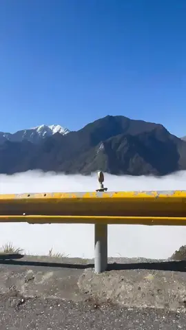 #ngườiviệtnamởđàiloan #hehuanshan  tháng 12 này e có chuyến ghép tuor lên săn mây trên núi hehuashan 1k9 /1người  (bao ăn uống) anh chị em nào có hứng thú ib e ạ vừa đi chơi vừa giao lưu với trai xinh gái đẹp ạ