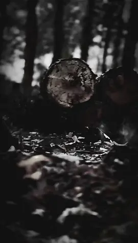 الشخص اللي بيحكي لك عن كميات الخزلان اللي تعرض لها🖤💔🥺ايزيل 🙂#سوريا #تركيا #العراق #مصر🇪🇬 #السعودية 