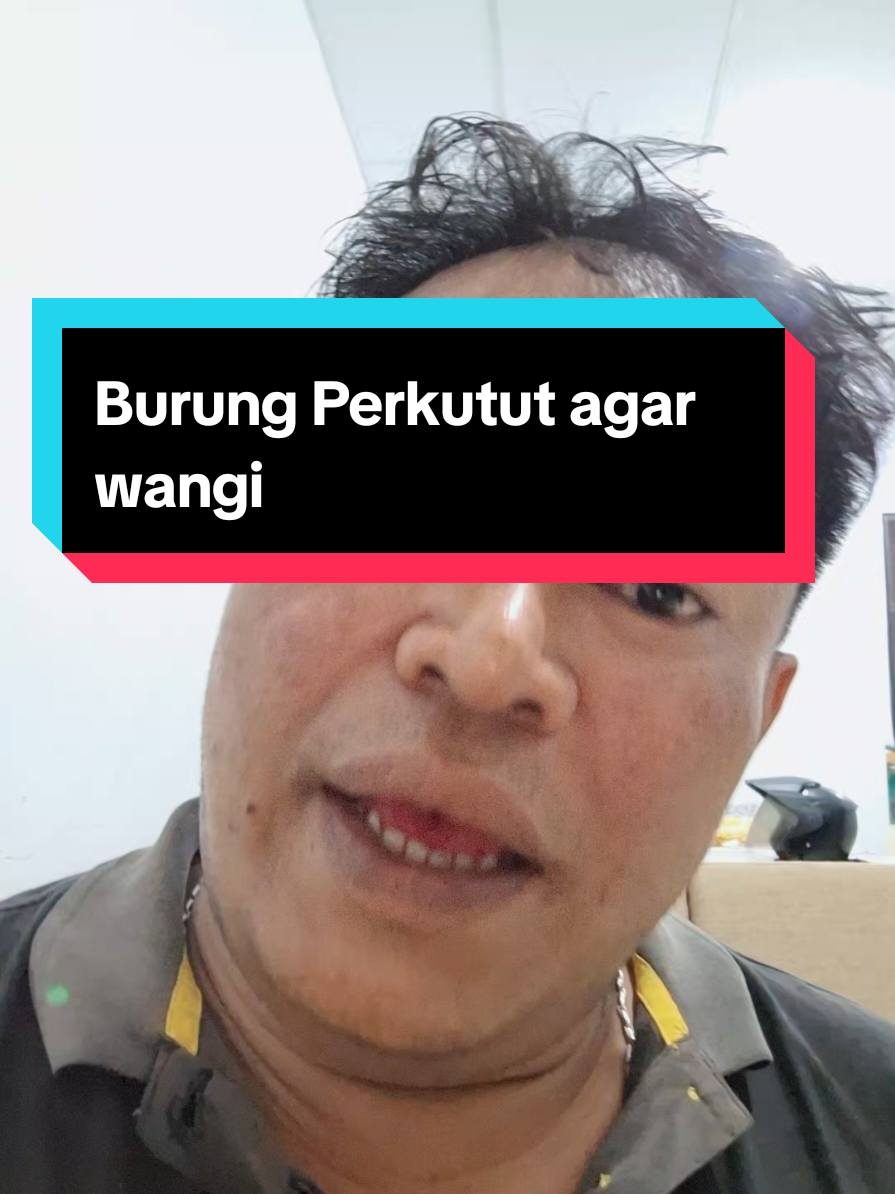 Agar Burung perkututmu wangi... #viral #parfum #fyp 