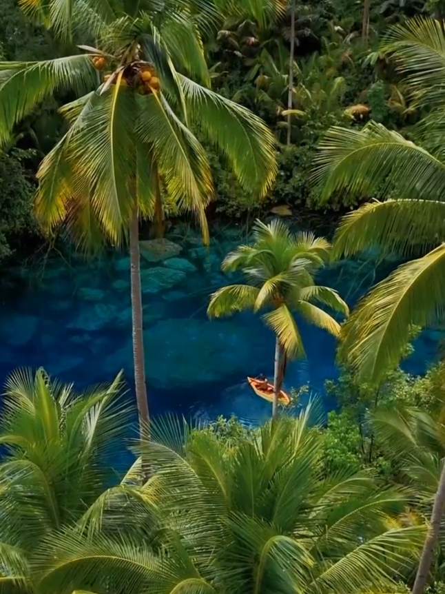 Paraíso Escondido: Remando nas Águas Cristalinas Paisupok Lake, Indonesia Hidden Paradise: Rowing on the Crystal-Clear Waters of Paisupok Lake, Indonesia #travel #Natureza #nature #tiktok #tiktokviral 