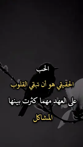 #اجمل_عبارة_راح_ثبتها📌 #عباراتكم_الفخمه📿📌 #اجمل_عبارة_راح_ثبتها📌 #عبارات 