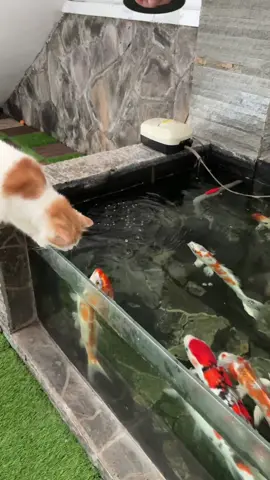 Mereka ngobrol apa yaa kepo.