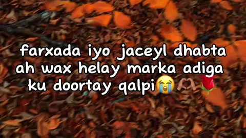 jecloww😭🌹#jawi_bila🌊❤️🌴#jawiga_jawiyada_eryaday🌴❤️#mohamed😋💘 