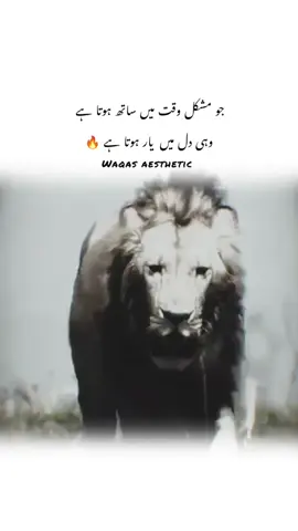 𝙩𝙖𝙜 𝙮𝙤𝙪𝙧 𝙗𝙚𝙨𝙩 𝙛𝙧𝙞𝙚𝙣𝙙✅ #foryou #fyp #foryoupage #unfreezmyaccout #videoviral 