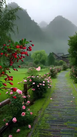 #مشاهدات_100مليون2025 #مشاهدات_100مليون2025 #