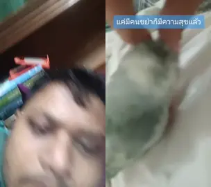 #duet with @CJT_Forpus เกี่ยวกับนกฟอพัส #ต้าวไอริส 