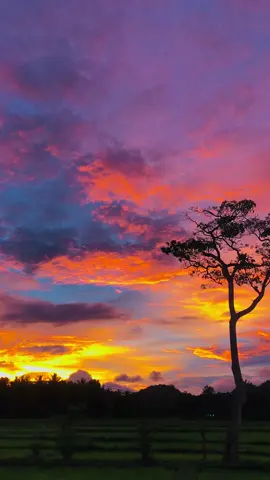 💗#viral #fypシ #foryou 