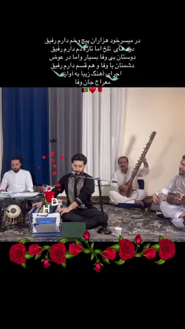 @Meraj Wafa معراج وفا 17/11/2025 🇦🇫♥️🌹#opdezedag #fypp #fyp 