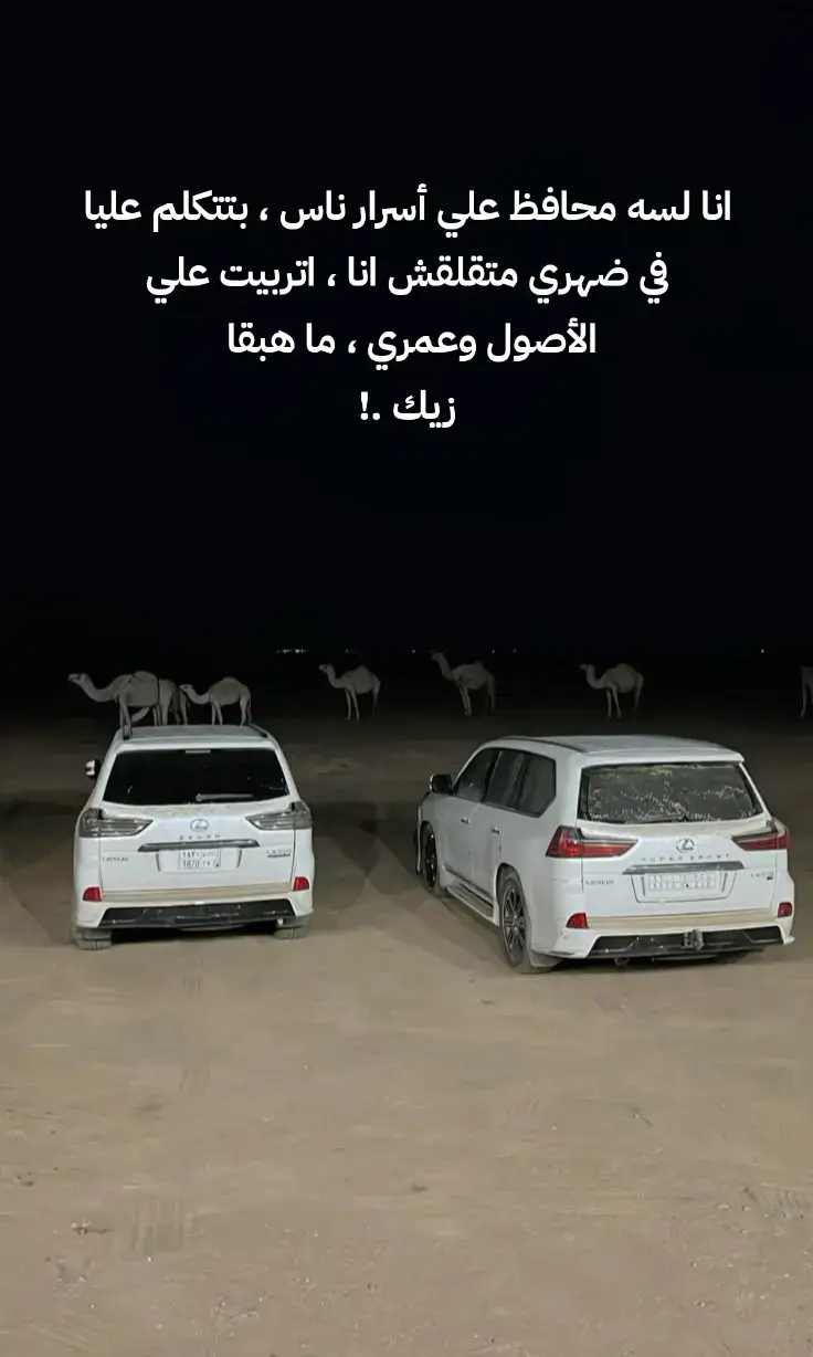 #الذيب_ماغيره🇪🇬 #fypシ゚ #جبراتت📮 