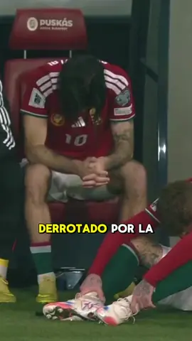 Parrot repite la historia y destruye a Hungría igual que a Portugal #Parrot #Sorbozlai #Irlanda #Hungría #Portugal 