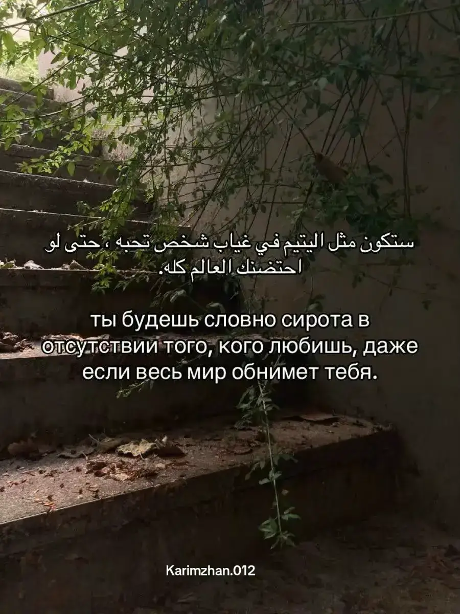 #сирата #rek #...