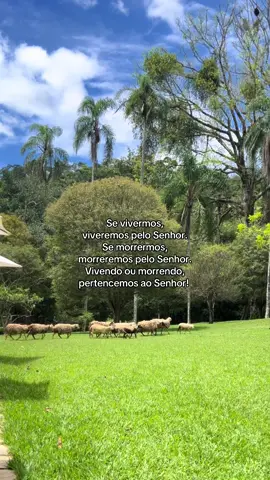 Viver é cristo! 