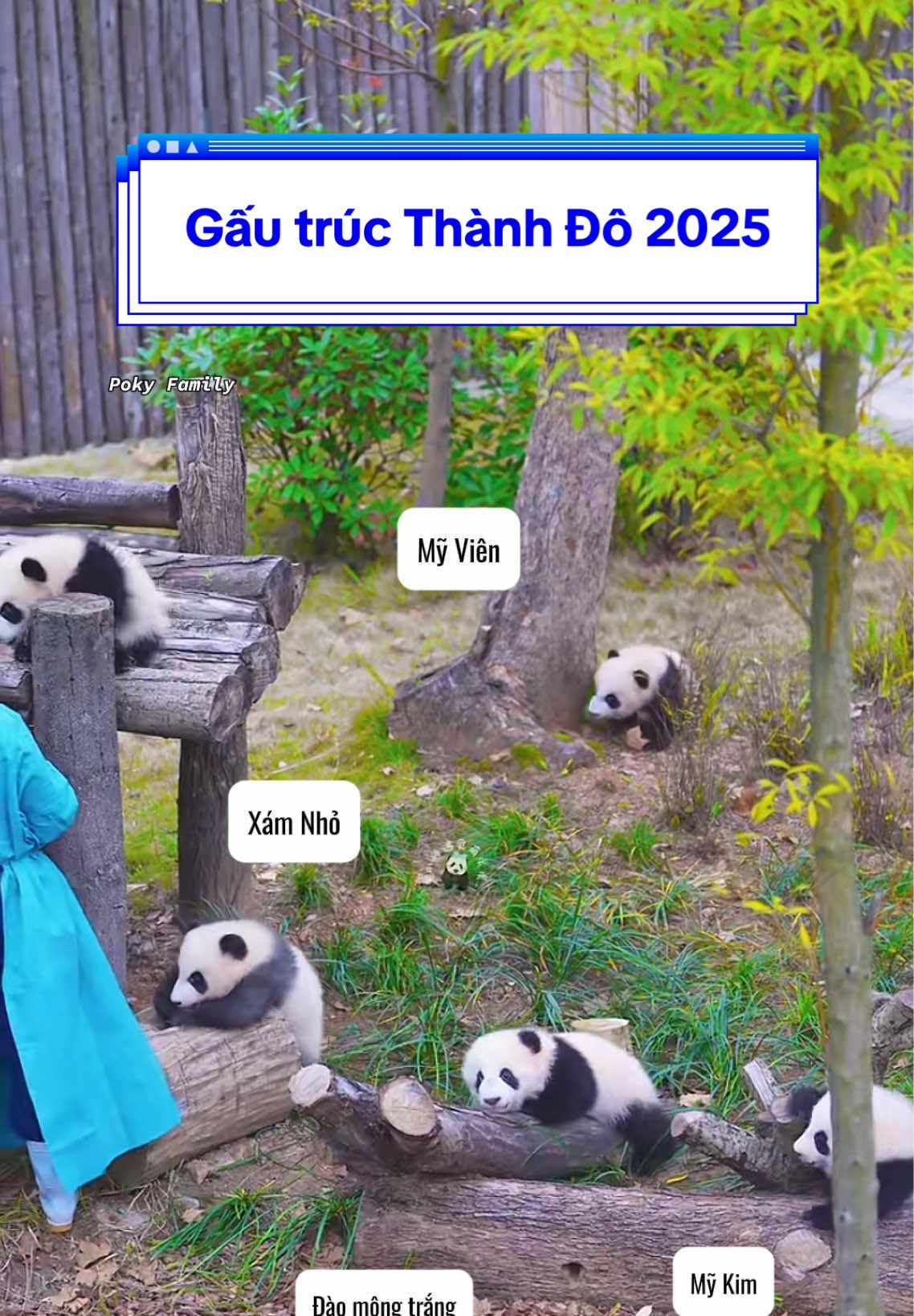 Biệt đội 'Ngôi Sao