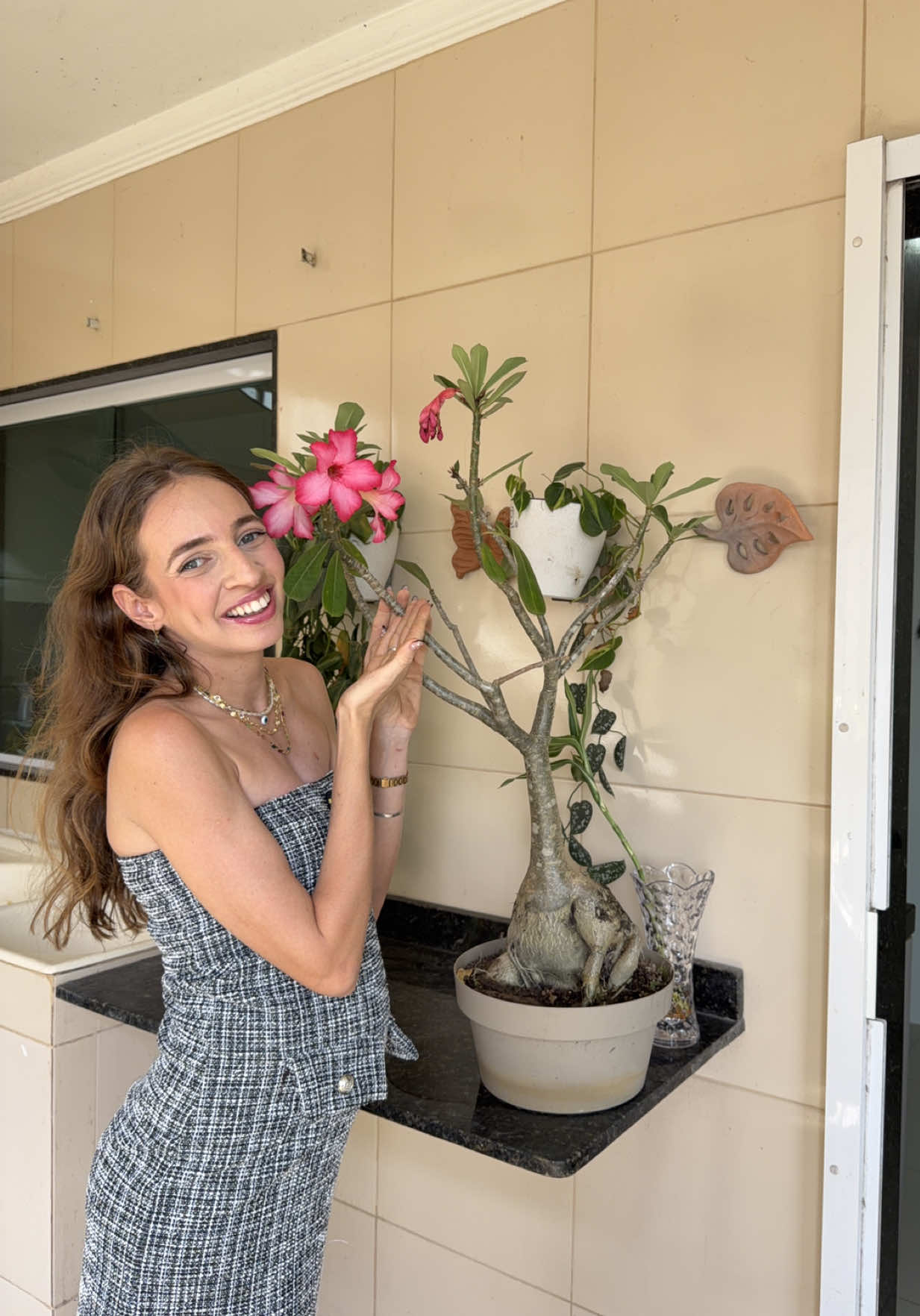 Rosa do deserto @Verde Garden 🏷️carina10