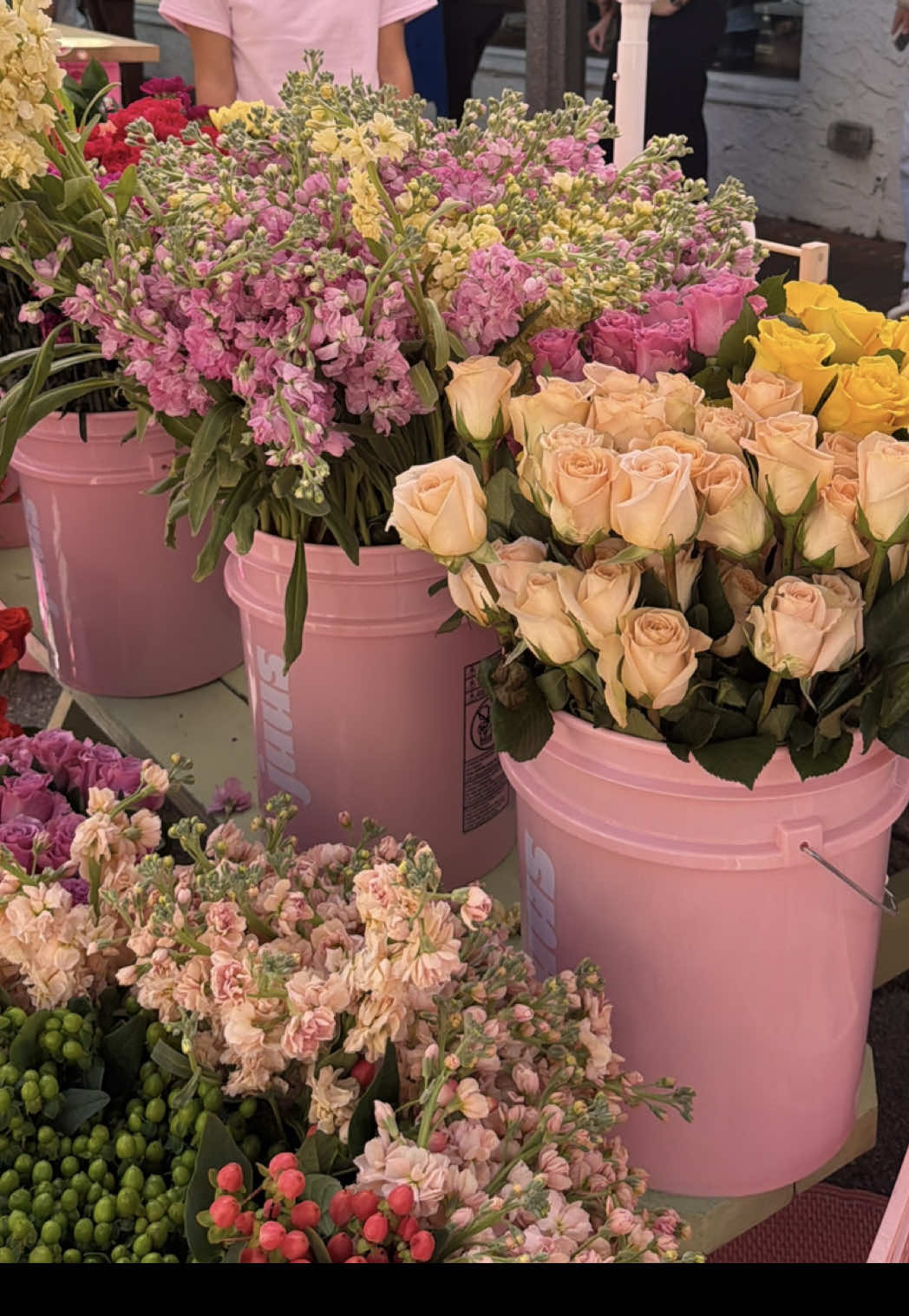 what friend are you? @Soph 💌  #girls#relatable#friends #funny #funnyvideos