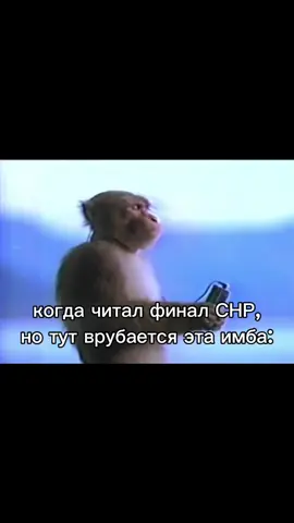 Мне вся музыка оттуда нравится #клуб_романтики #СНР #КР #romanceclub #визуальнаяновелла #секретнебесреквием #финал #финалСНР #обезьянки #музыка #танец #реки #fyp 