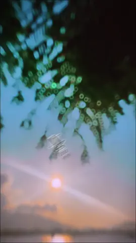 Người ơi khi cố quên là khi lòng nhớ thêm... 