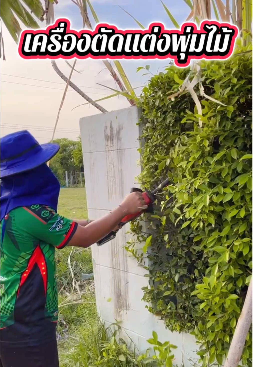 อัพเกรดใหม่ เครื่องตัดแต่งพุ่มไม้#ใช้ดีบอกต่อ #เทรนวันนี้้ #เปิดการมองเห็น #ของดีบอกต่อ #เอาขึ้นหน้าฟีดที 
