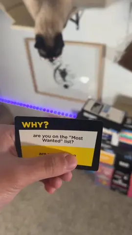 Most wanted list… #cat #why #because #games 