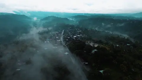 Embun Setelah Hujan #nature #drone #cinematic 