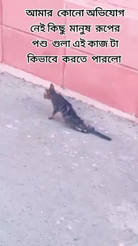 #foryou #videoviral #কুমিল্লার_মেয়ে 