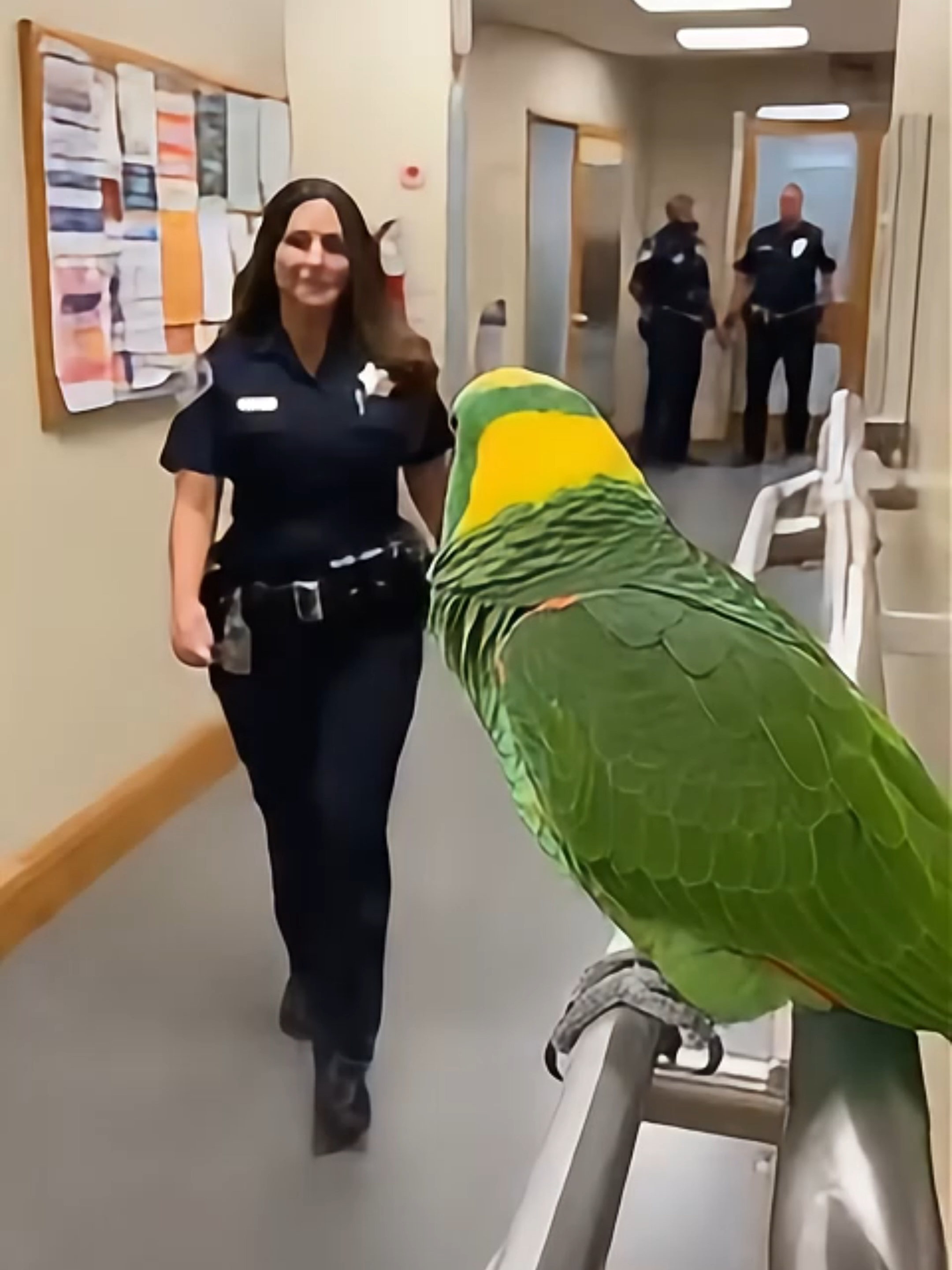 🦜🍫 Someone with pretty hair and BAD handwriting! 💀 Parrot caught lying AND roasting 😂 #realshocklens #ParrotRoast #PoliceTok #SavageParrot #ViralTikTok #FunnyAnimals #ComedyTok2025 #SnackThief
