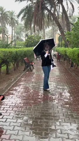 #لايكات #فولو🙏🏻لايك❤️اكسبلور🙏🏻🌹💫 #العراق #الفراهيدي #متابعه 