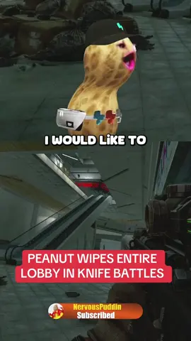 Bro really took out the entire lobby one by one 😭😭 #tarkov #peanut #tarkovclips #gaming #theburntpeanut 