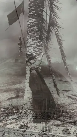 اخ ياغربتج يمه ..💔         . . . . . . . . . #يازينب_يامولاتي #السيده_زينب #مجتبي_الكعبي #سوريا_مقام_السيدة_زينب_عليها_السلام💔 #اللهم_عجل_لوليك_الفرج 