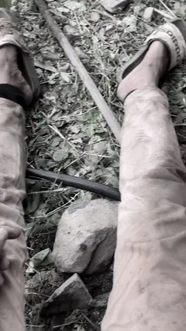 🥰#chiuchii #xuhuongtiktok #chiikawaanime 