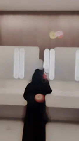 ওই অবিশ্বাসের যোগে তোমাকে বিশ্বাস করা টা আমার বোকামি ছিলে🥹❤️‍🩹