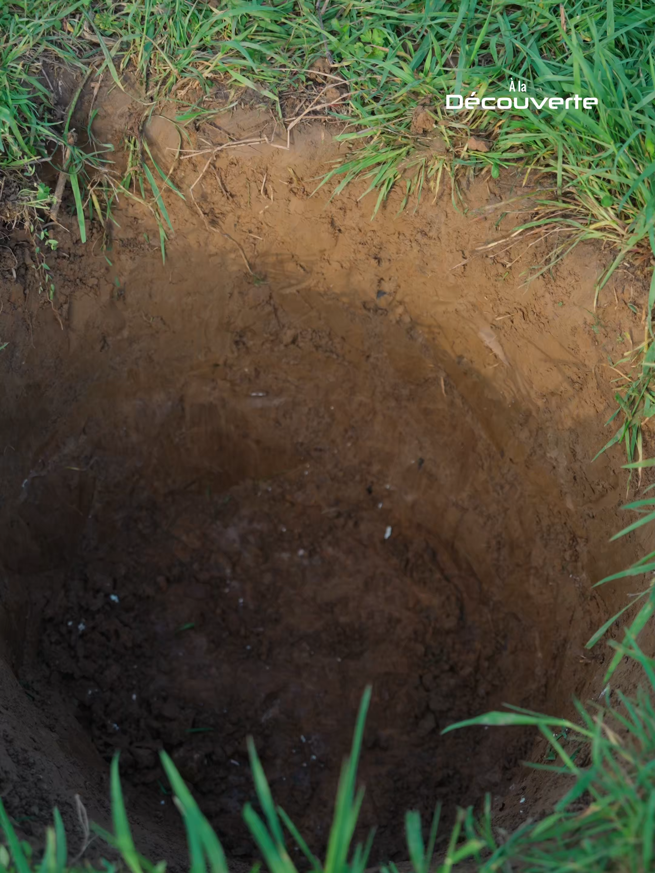 Comment des ossements deviennent des œuvres d’art de luxe – Une technique vieille de 3 000 ans #apprendresurtiktok #lesaviezvous #artisanat